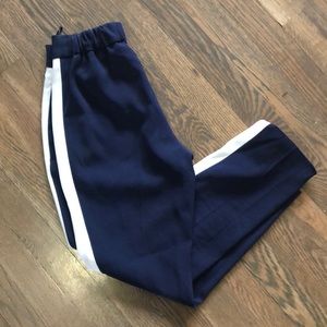 Aritzia Babaton “Conan Pant.”